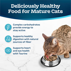 Blue Buffalo Tastefuls LifeSource Bits image highlights antioxidants and minerals.