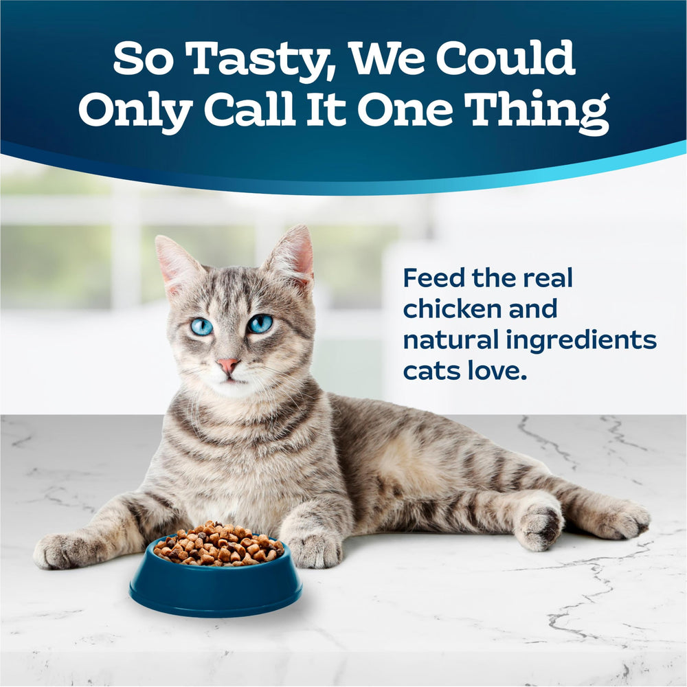 Tastefuls serving bowl with kibble illustrating portioned feeding for adults.