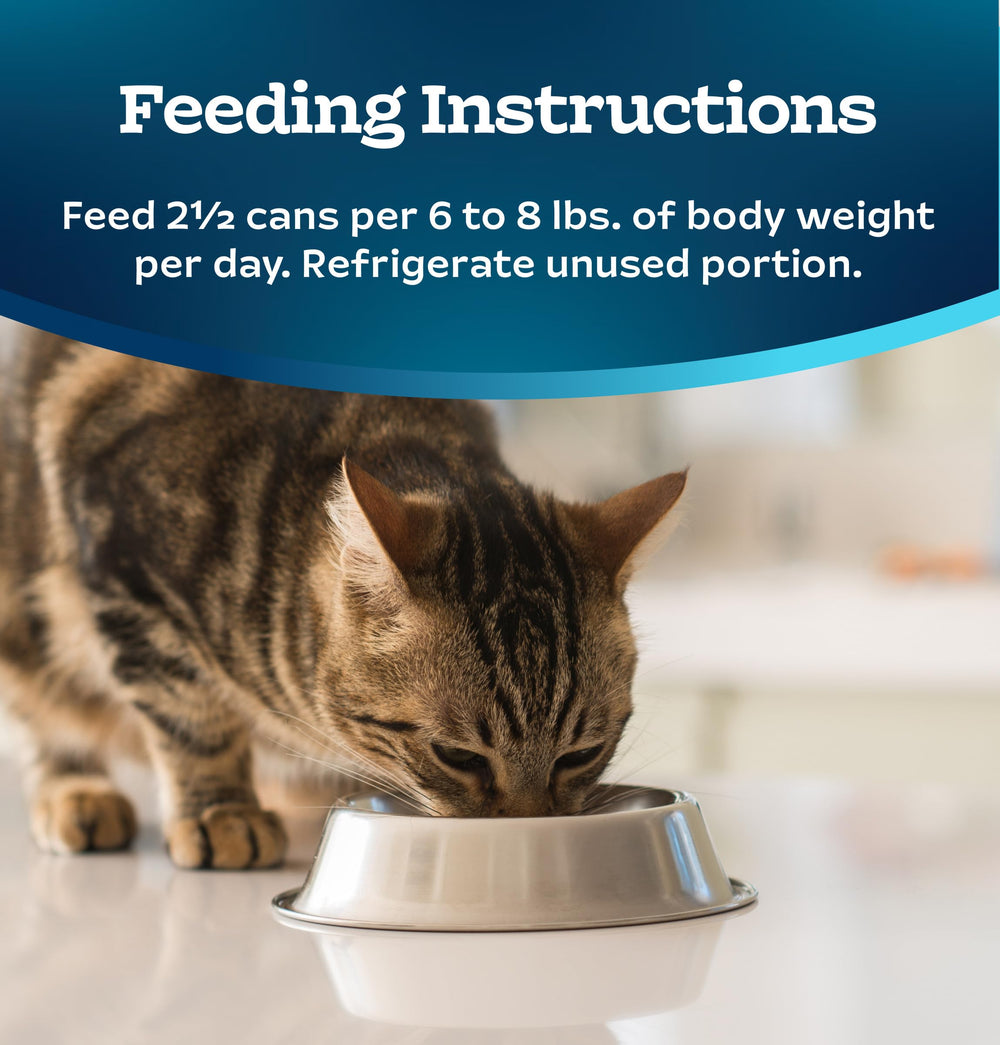 Cat savoring a Tastefuls meal, product in use