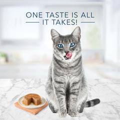 Blue Buffalo Tastefuls chicken pate highlights chicken as the first ingredient.