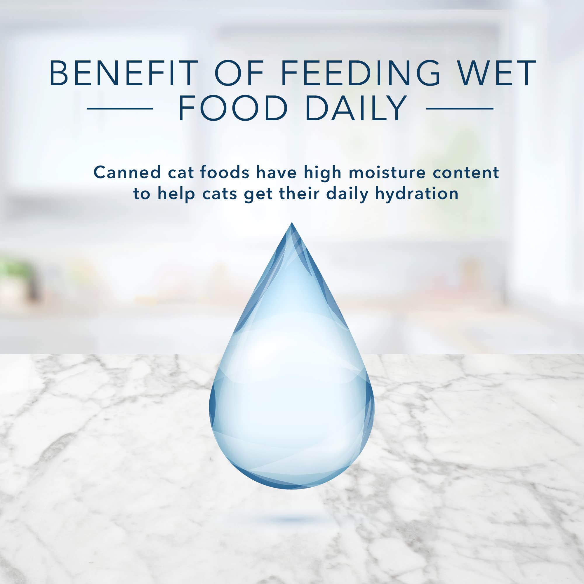 Blue Buffalo Tastefuls tuna entrée in gravy can served with kibble to add variety.