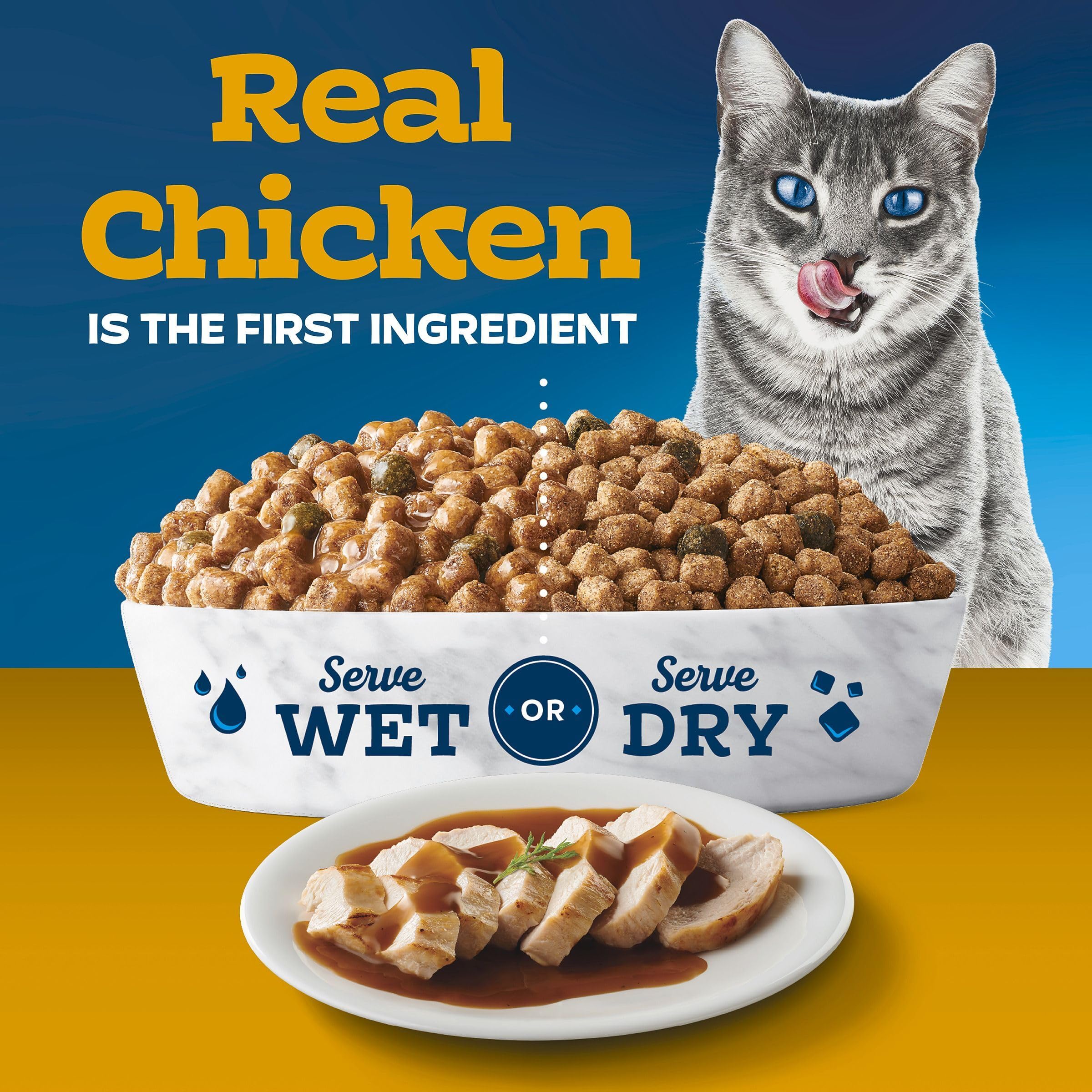 Blue Buffalo Tastefuls Irresistible Gravy Experience kibble closeup shows crunchy texture