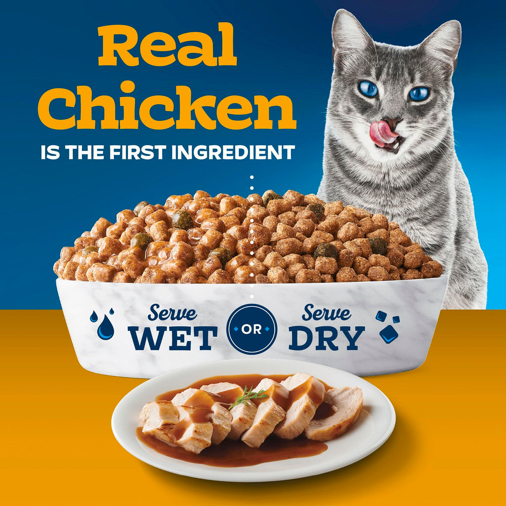Blue Buffalo Tastefuls Irresistible Gravy Experience kibble closeup shows crunchy texture