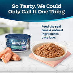 Blue Buffalo Tastefuls tuna serving bowl ready for a hydrating, flavorful meal.