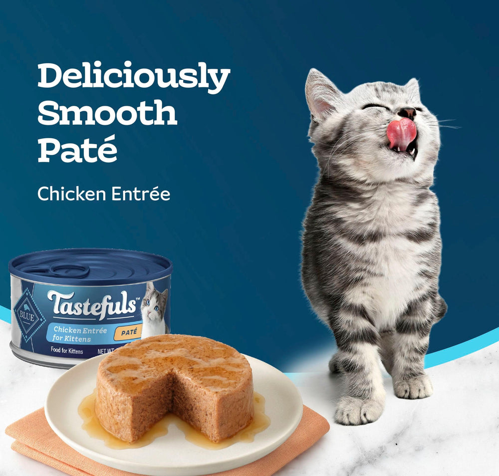Kitten enjoying Blue Buffalo Tastefuls pate during mealtime.