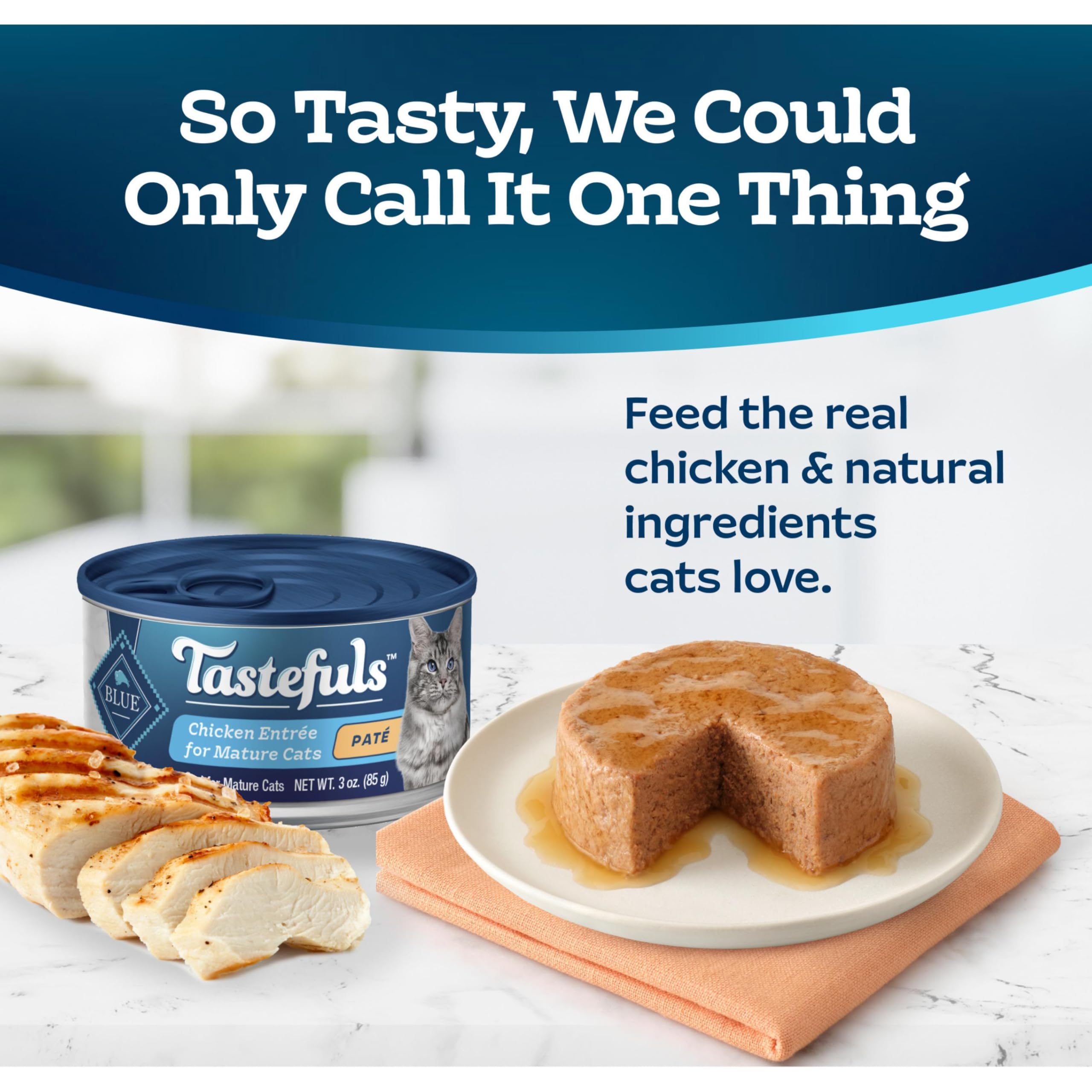 Close-up of pate texture in Blue Buffalo Tastefuls for mature cats.