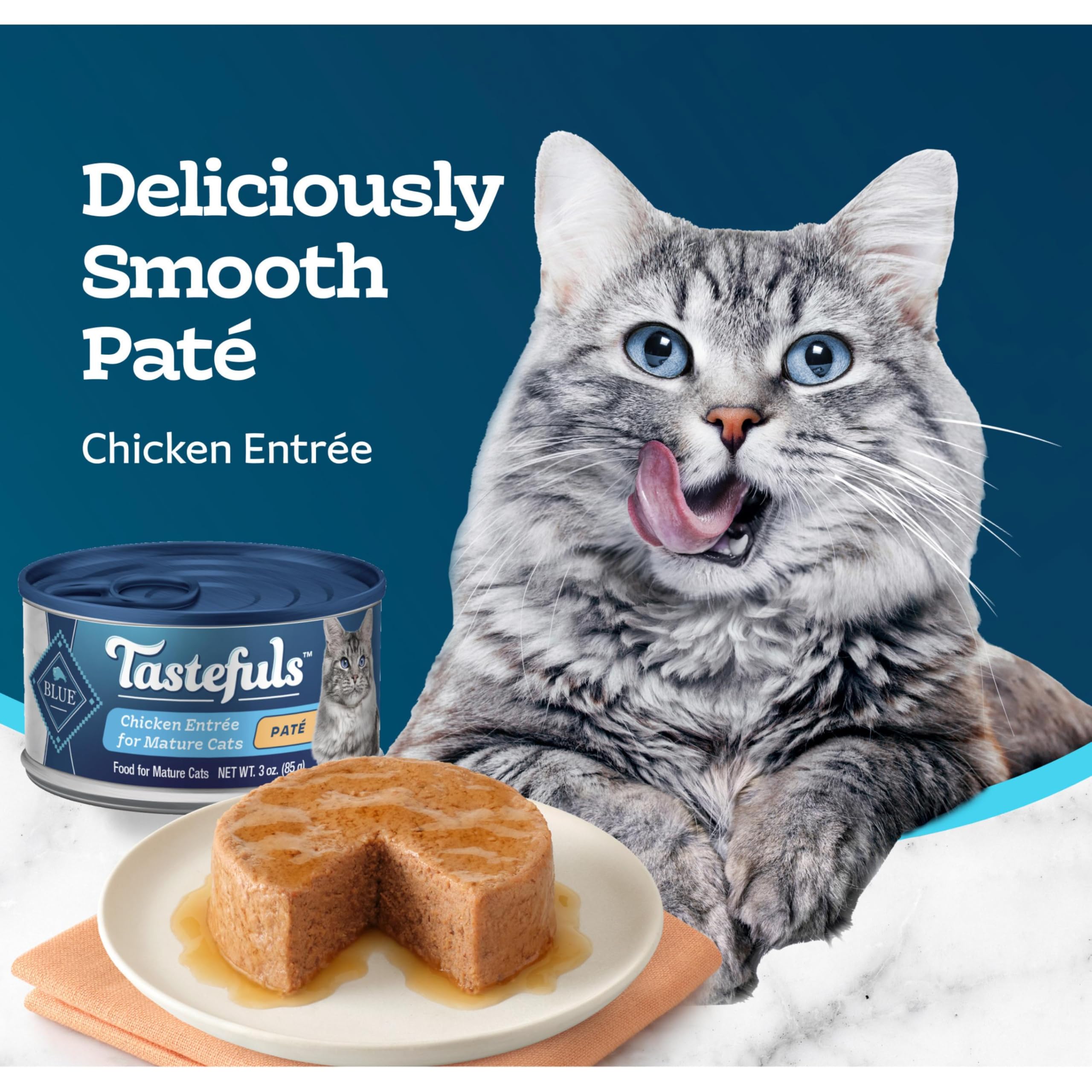 Open can reveals smooth pate and moist texture ideal for senior cats.