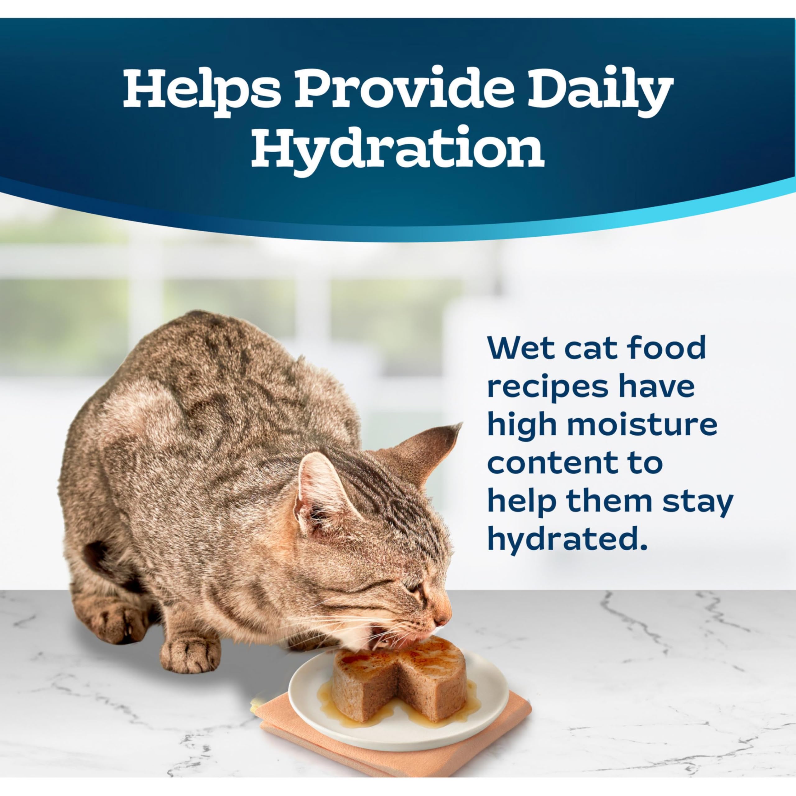 High moisture pate supports daily hydration in Blue Buffalo Tastefuls.