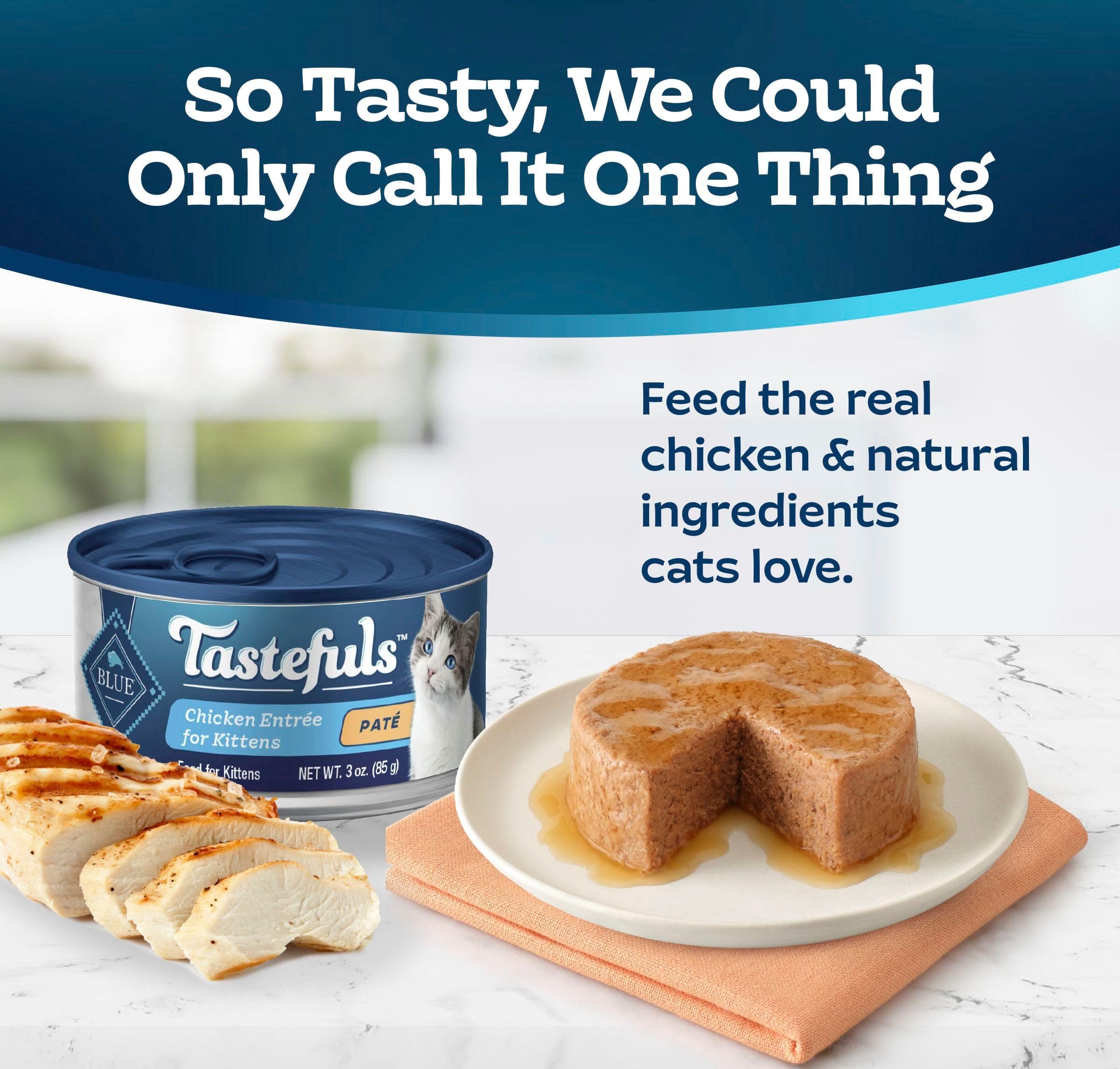 Blue Buffalo Tastefuls pate texture close-up highlighting silky paté.