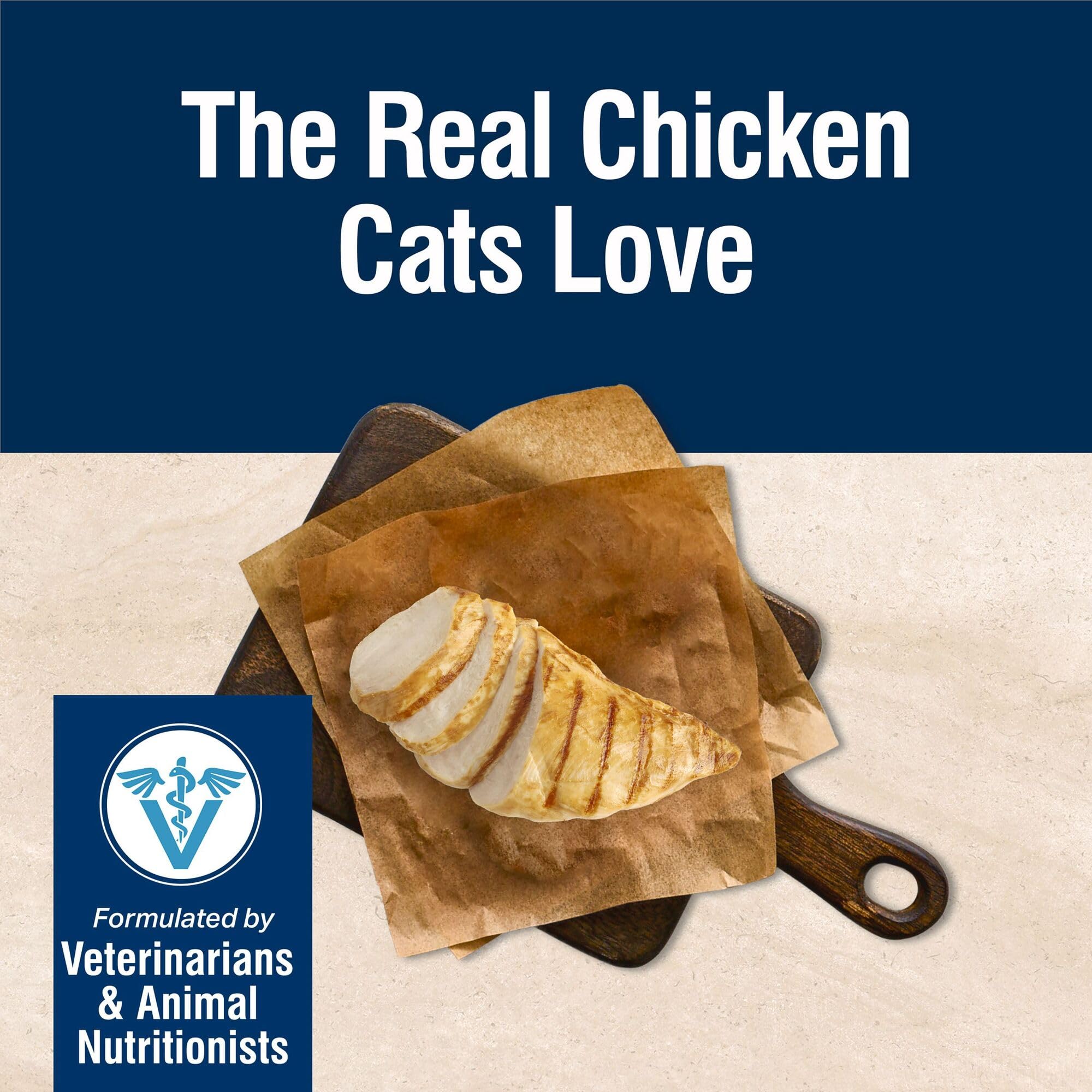 Serving bowl of Blue Buffalo wet cat food for adult cats