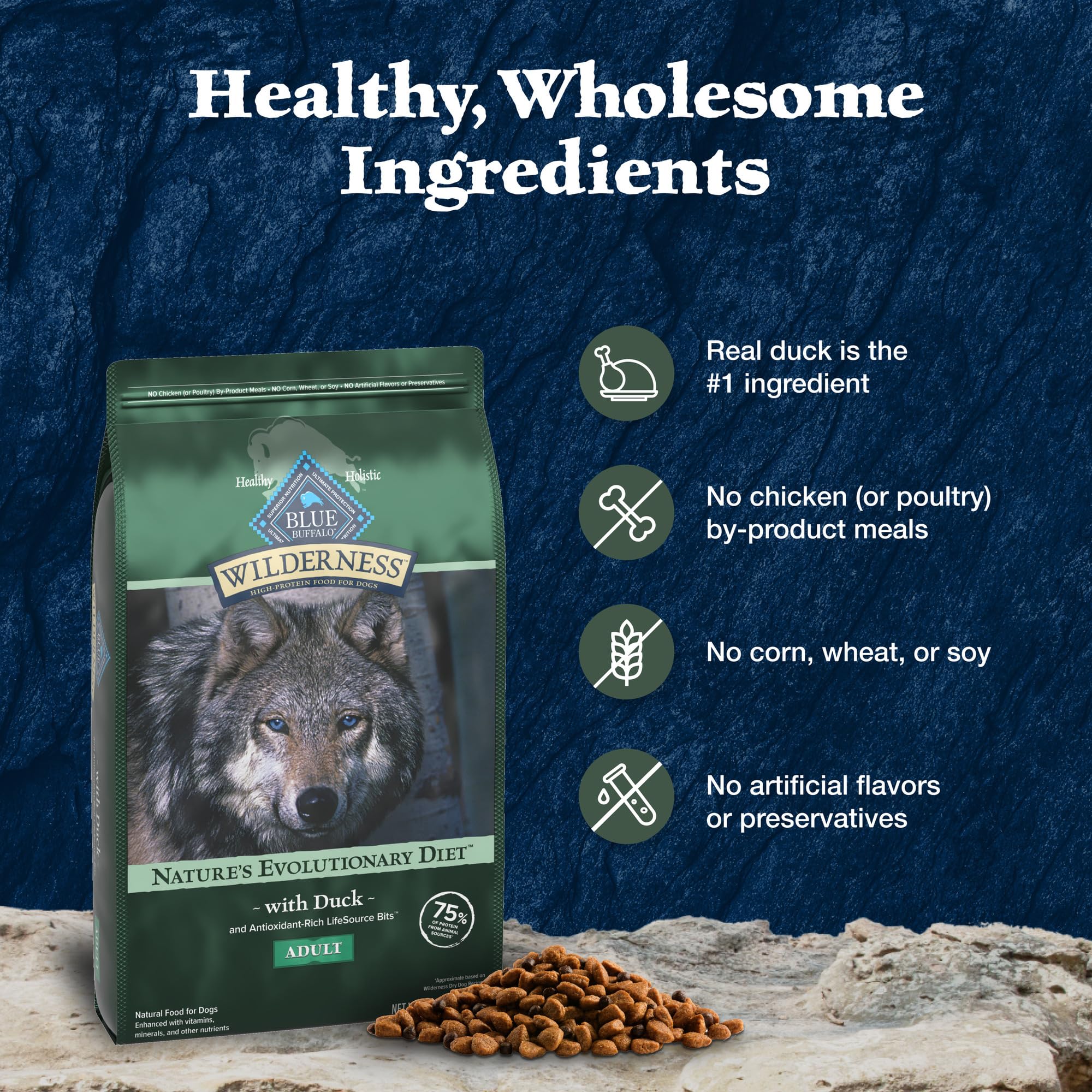 Blue Buffalo Wilderness duck protein close-up on kibble surface