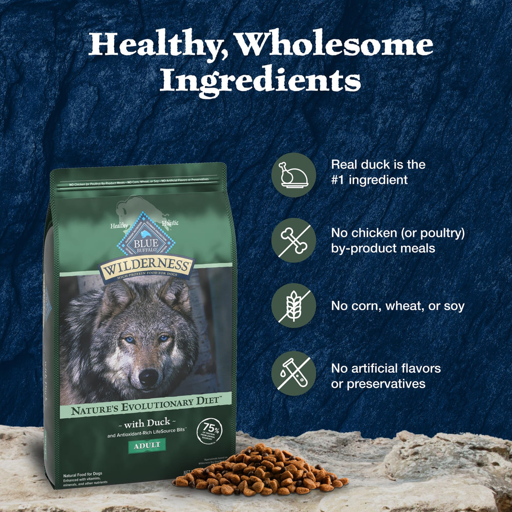 Blue Buffalo Wilderness duck protein close-up on kibble surface
