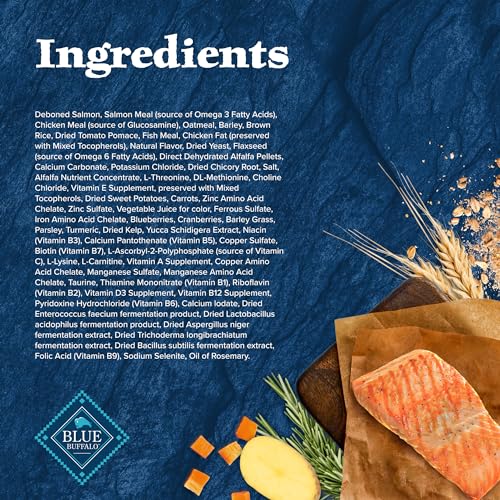 Blue Buffalo Wilderness healthy-coat-skin-benefits: supports a shiny coat and comfortable skin