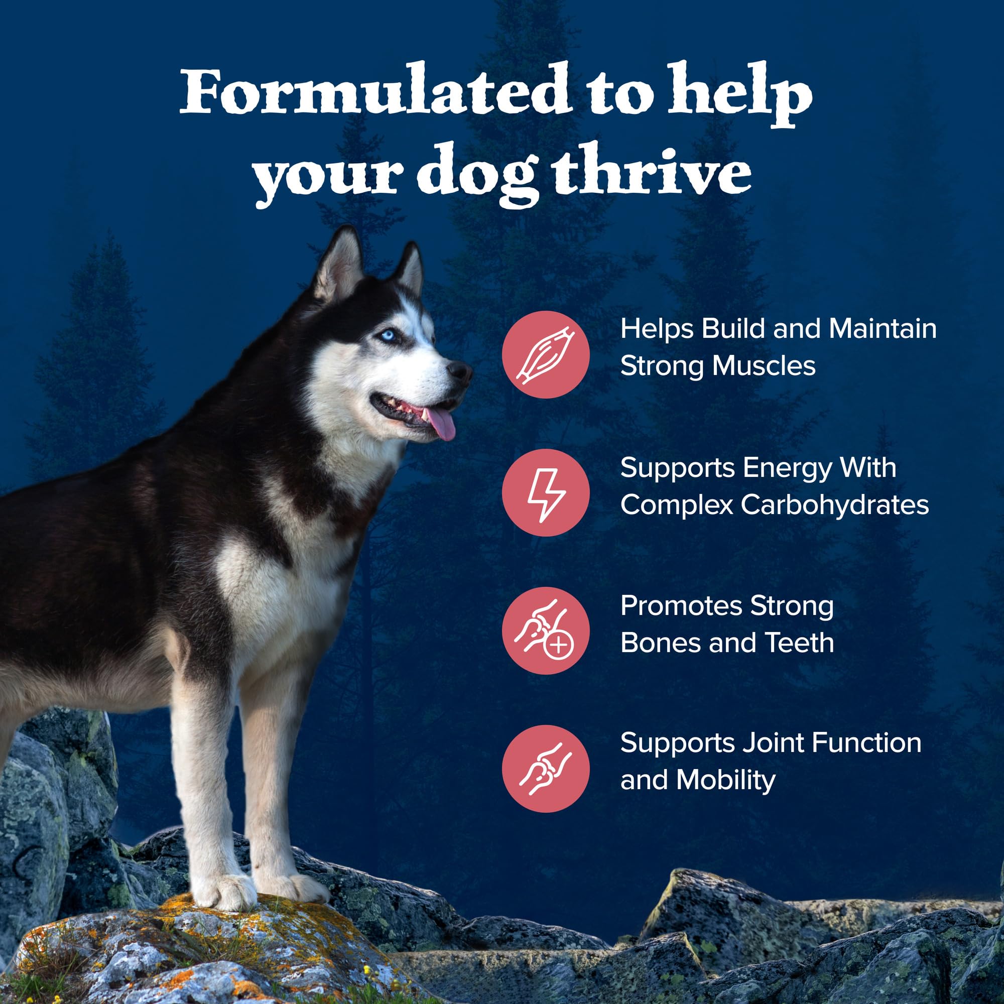 Blue Buffalo Wilderness no-corn-wheat-soy: wholesome ingredients without common fillers