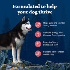 Blue Buffalo Wilderness no-corn-wheat-soy: wholesome ingredients without common fillers