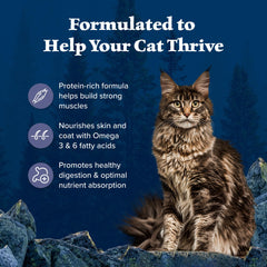 Blue Buffalo Wilderness grain-free recipe excludes corn, wheat, and soy