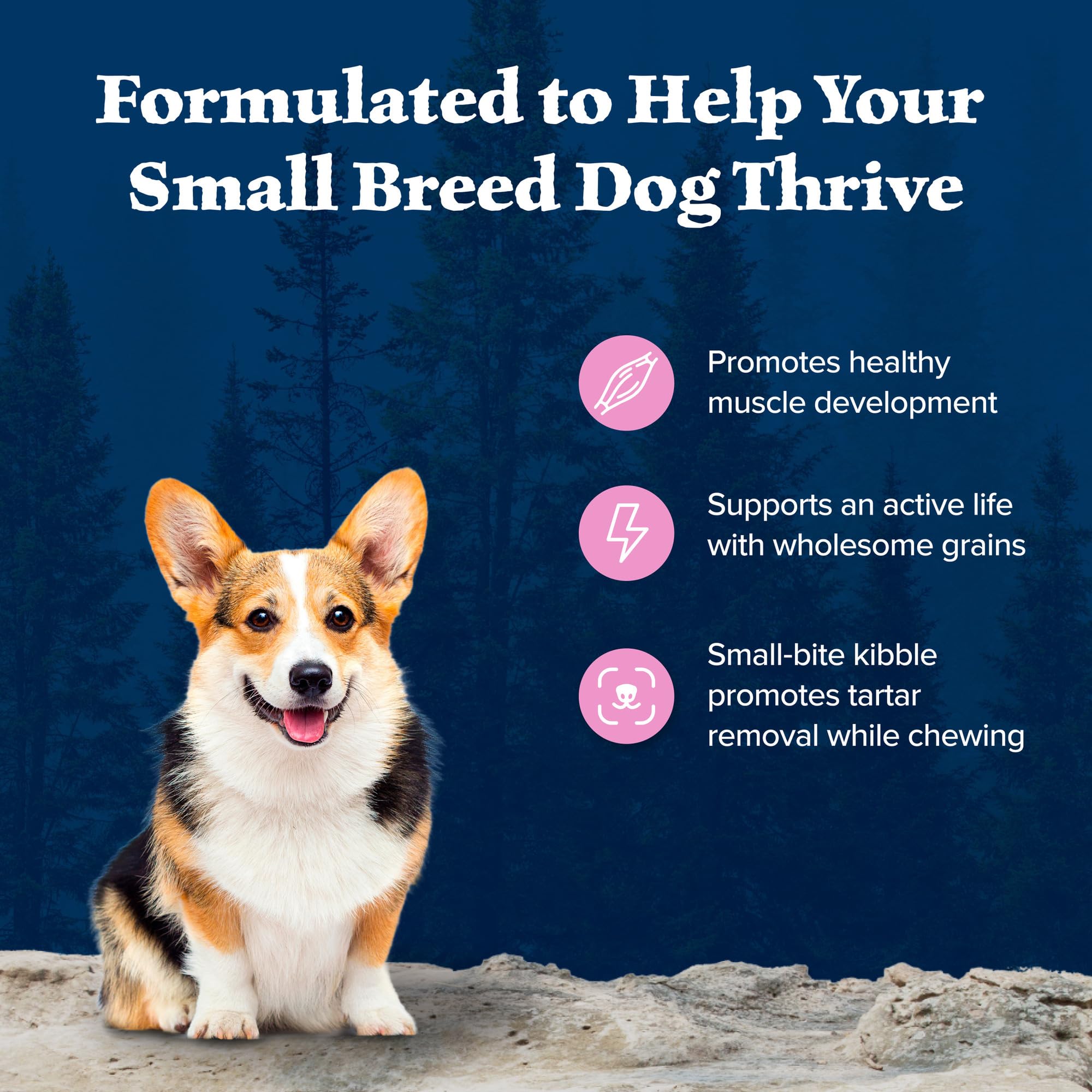 Blue Buffalo Wilderness Small Breed Chicken Recipe kibble close-up for high protein