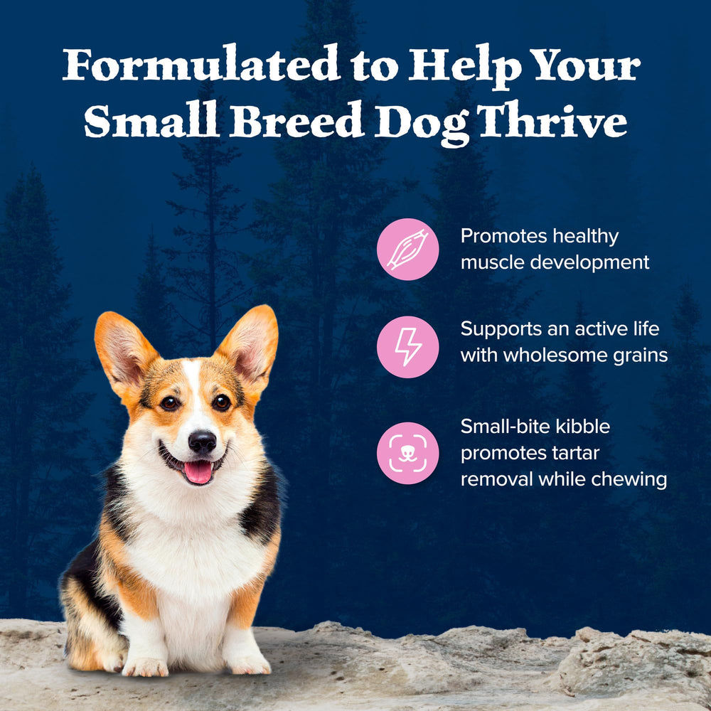 Blue Buffalo Wilderness Small Breed Chicken Recipe kibble close-up for high protein
