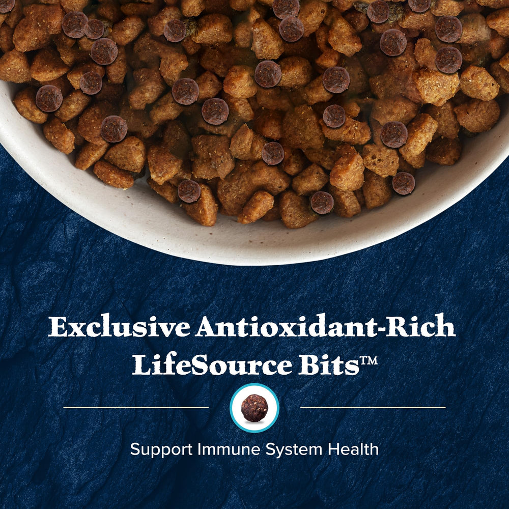 Blue Buffalo Wilderness Small Breed Chicken Recipe kibble in a bowl for active dogs