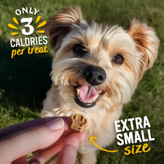 Blue Dog Bakery Perfect Trainers three shapes to keep training fun.