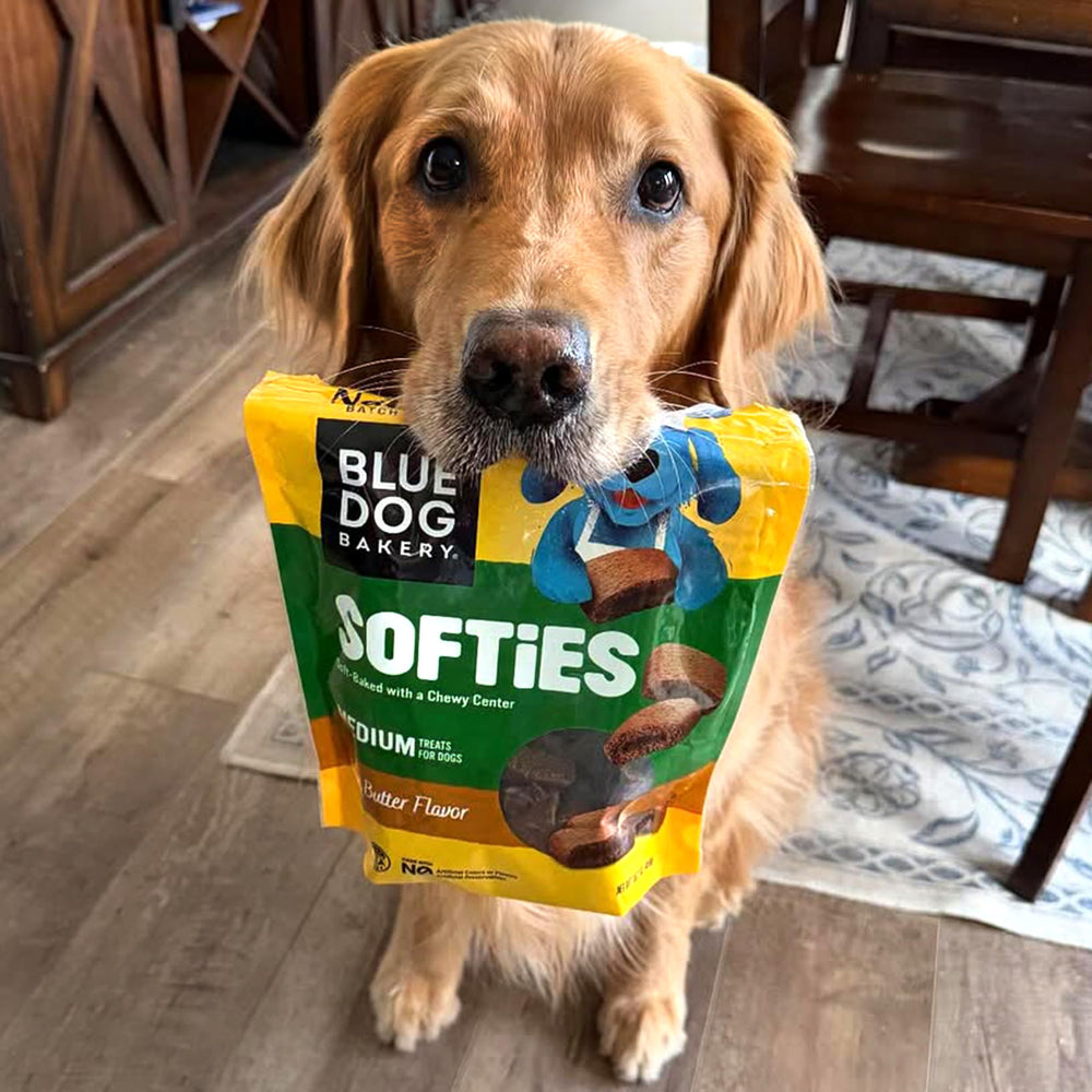 Taille moyenne pratique pour tous les chiens, du petit au moyen.