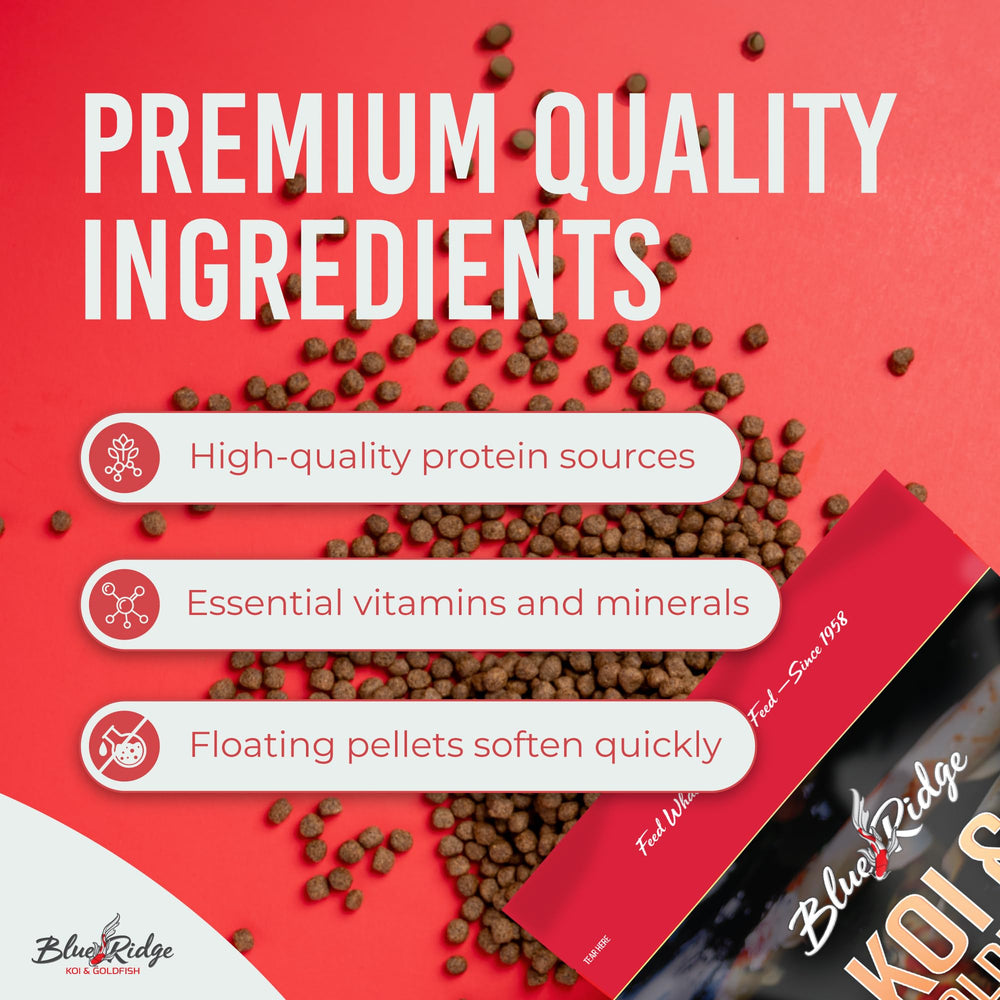 Blue Ridge Koi Food feeding bowl demonstrates balanced nutrition for growing koi and goldfish.