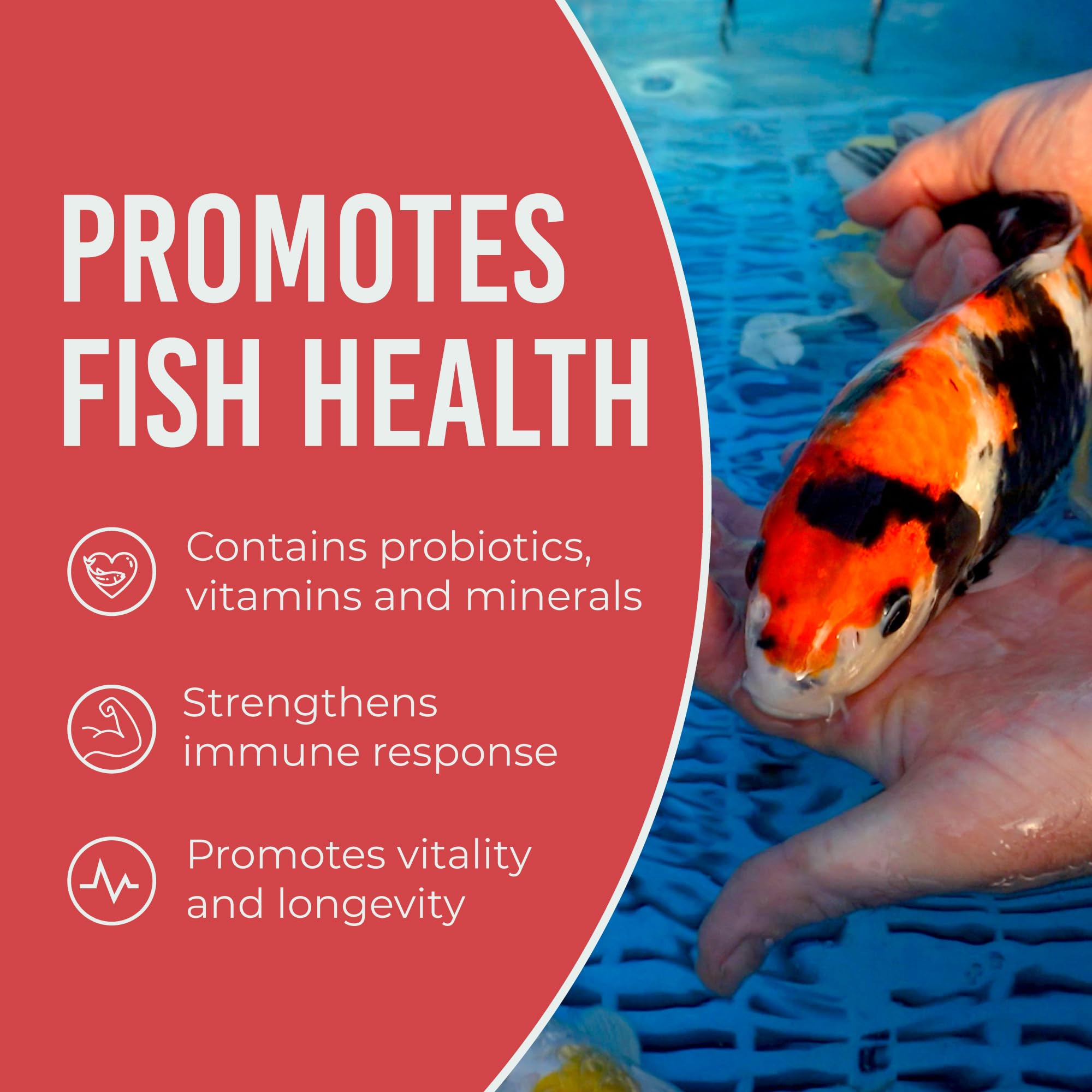 Blue Ridge Koi Food packaging on shelf signals family-owned quality.