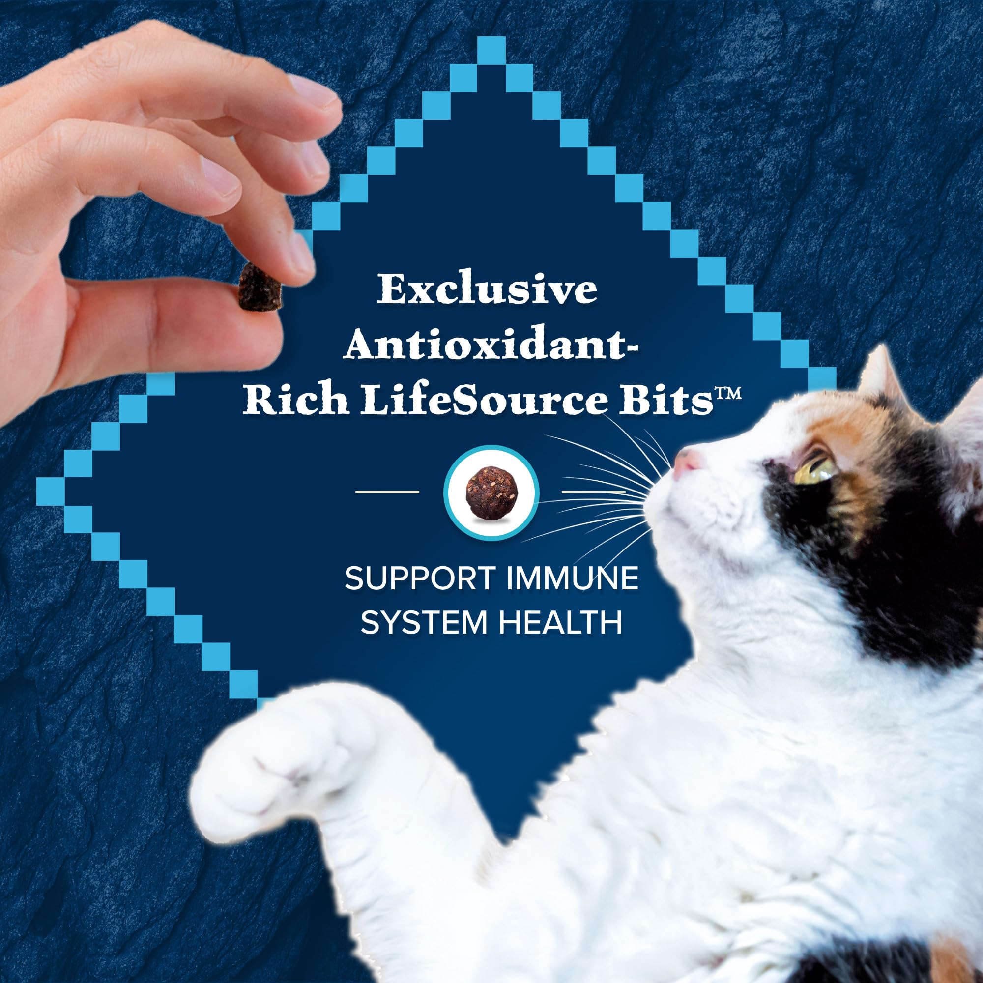 Blue Wilderness indoor-adult cat food designed for daily meals and activity.