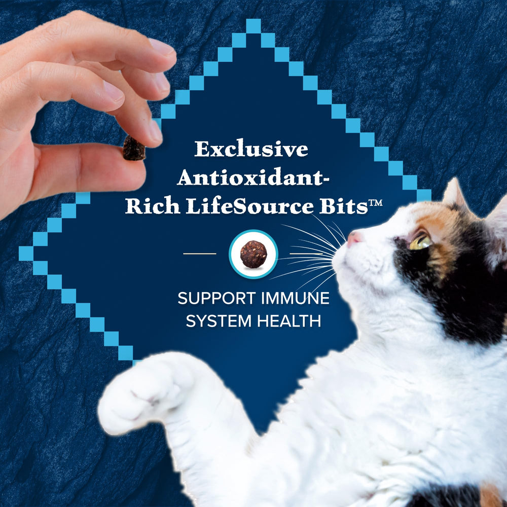 Blue Wilderness indoor-adult cat food designed for daily meals and activity.