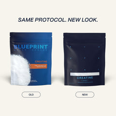 Scoop of Blueprint Bryan Johnson creatine monohydrate powder showing 5g serving