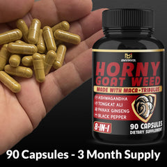 BMVINVOL Panax Ginseng capsule close-up for energy and focus potential