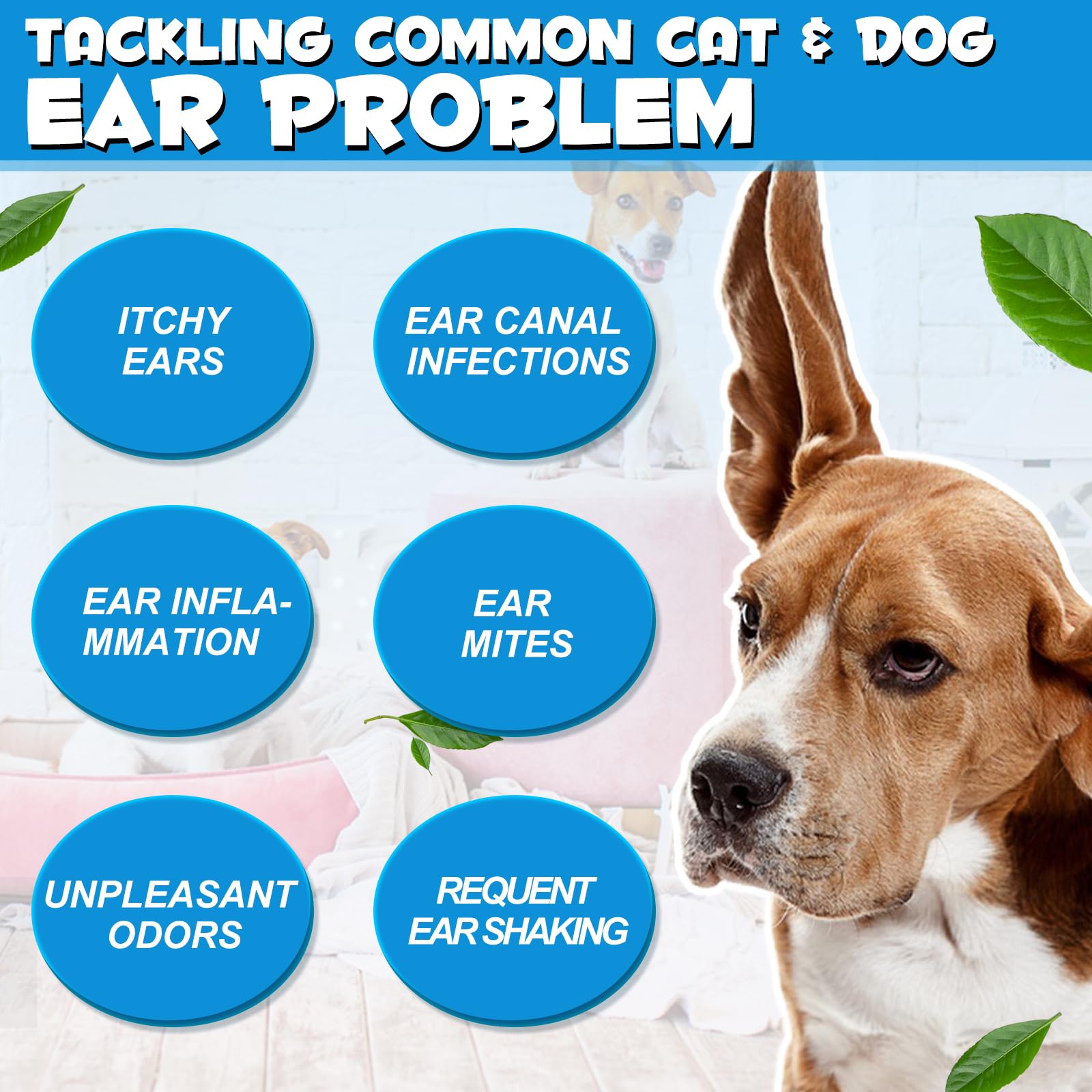 bnHUlMXw ear-cleaning-solution helps remove wax and dirt during routine care