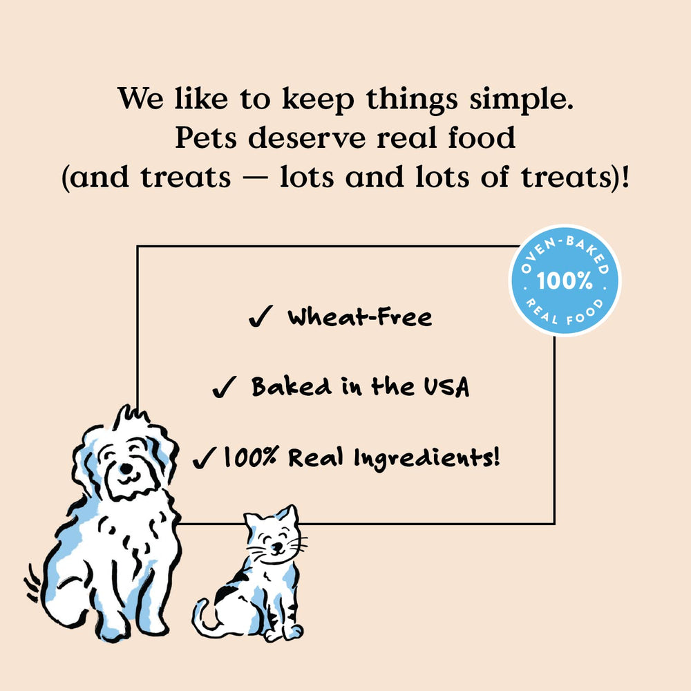 Bocce's Bakery Sunday Roast bites—wheat-free formulation supporting dogs with sensitive mouths.
