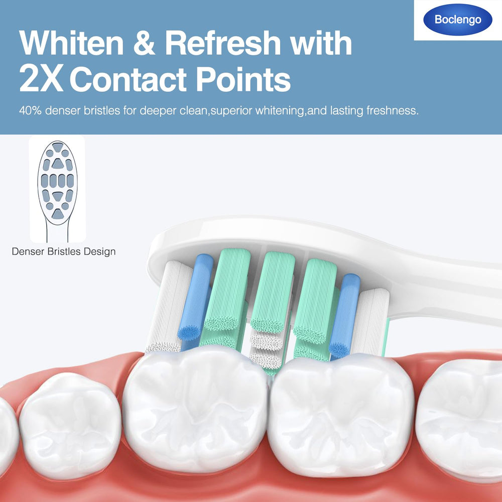 Twelve-pack replacement heads ready for regular dental care routines.