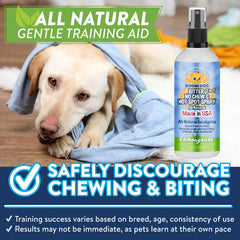 Bodhi Dog Bitter used indoors and outdoors to protect surfaces.