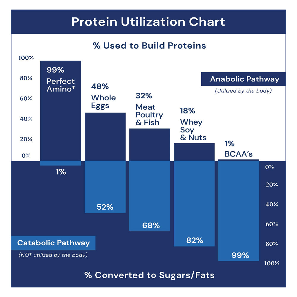 BodyHealth delayed-release capsules deliver live cultures to the gut.