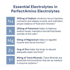 BodyHealth PerfectAmino Electrolytes Watermelon mixing demonstrates quick, smooth dissolution for workouts.