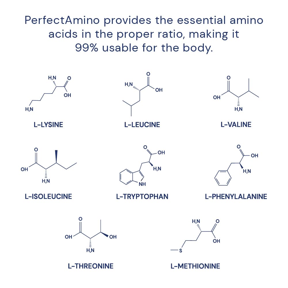 BodyHealth PerfectAmino label nutrition: BCAAs and nucleic acid support protein synthesis.