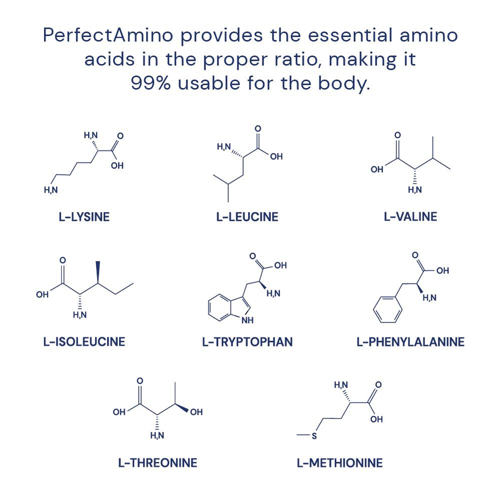 BodyHealth PerfectAmino label nutrition: BCAAs and nucleic acid support protein synthesis.