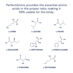BodyHealth PerfectAmino label nutrition: BCAAs and nucleic acid support protein synthesis.