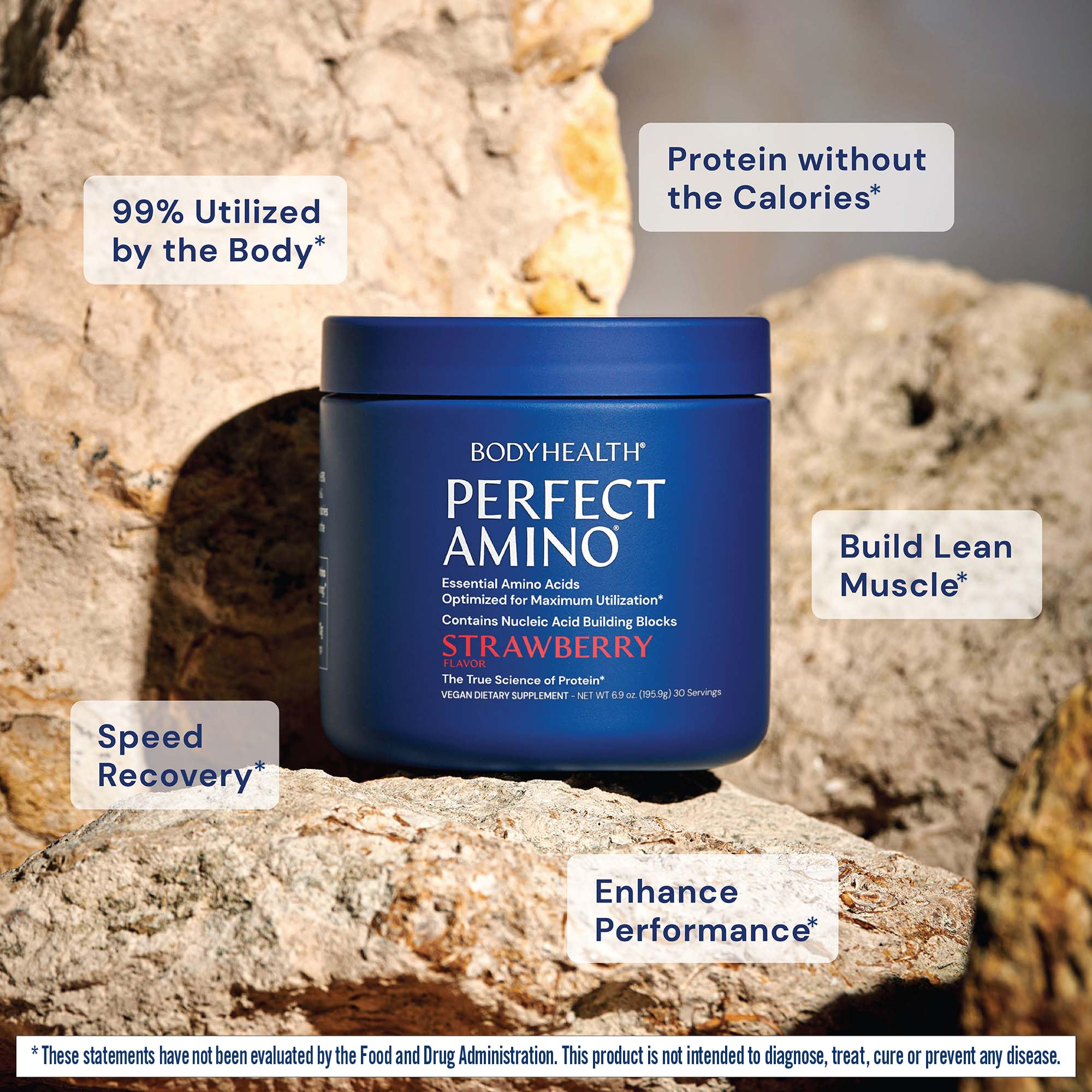 BodyHealth PerfectAmino Powder nucleic-acid-ingredient shows enhanced protein synthesis potential.