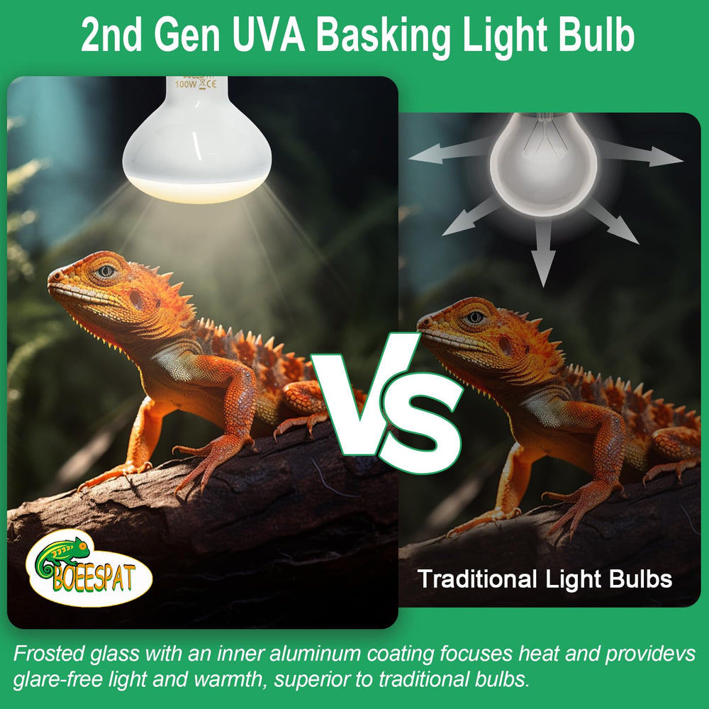BOEESPAT 75W basking light supports activity with warm illumination.