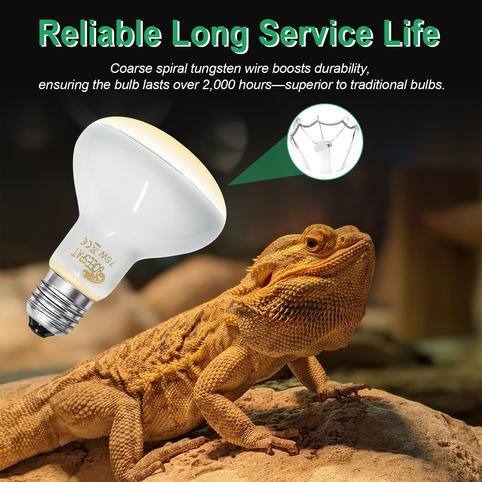 BOEESPAT incandescent heat bulb with E26 base enables easy terrarium setup.