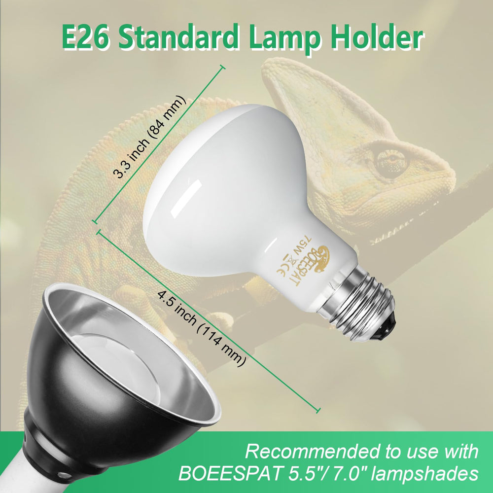 BOEESPAT UVA spectrum basking bulb glow supports natural behavior cues.