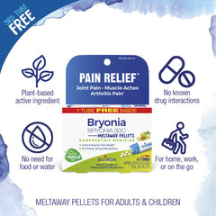 Close-up of Bryonia pellets for quick tongue-dissolve application.