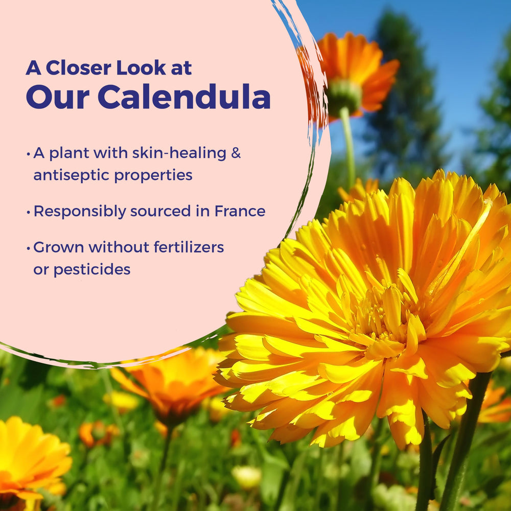 Boiron Calendula Ointment moisturizes while staying on skin longer.
