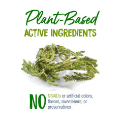 Boiron Lycopodium Clavatum 30C pellets in a dispensing tube for easy on-the-go use.