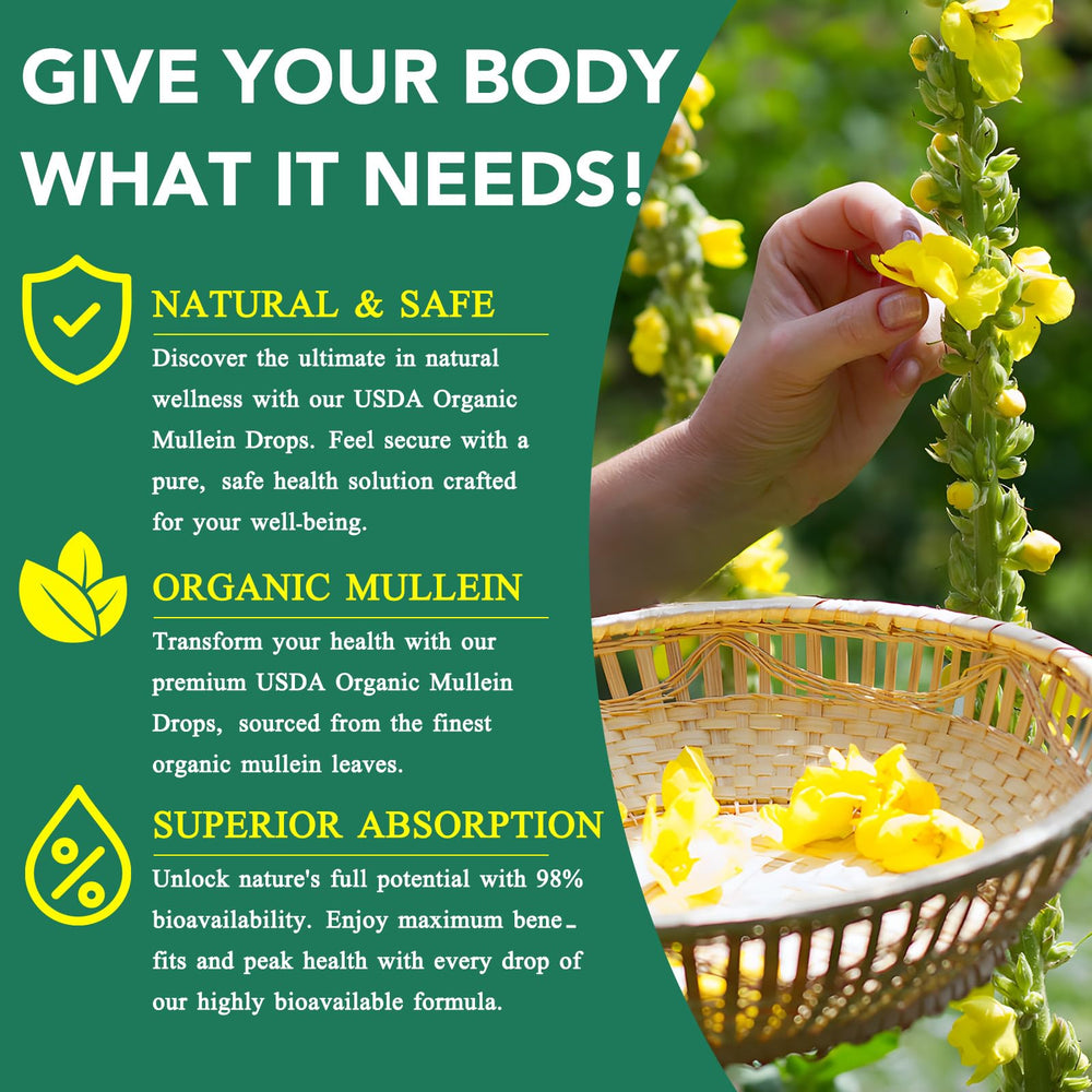BOIUOITI Mullein Drops supports digestive comfort and wellness.
