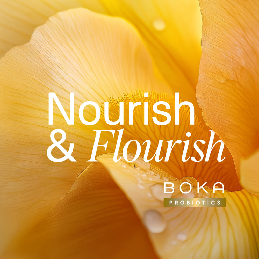 Boka daily-use tub and toothbrush setup for family care.