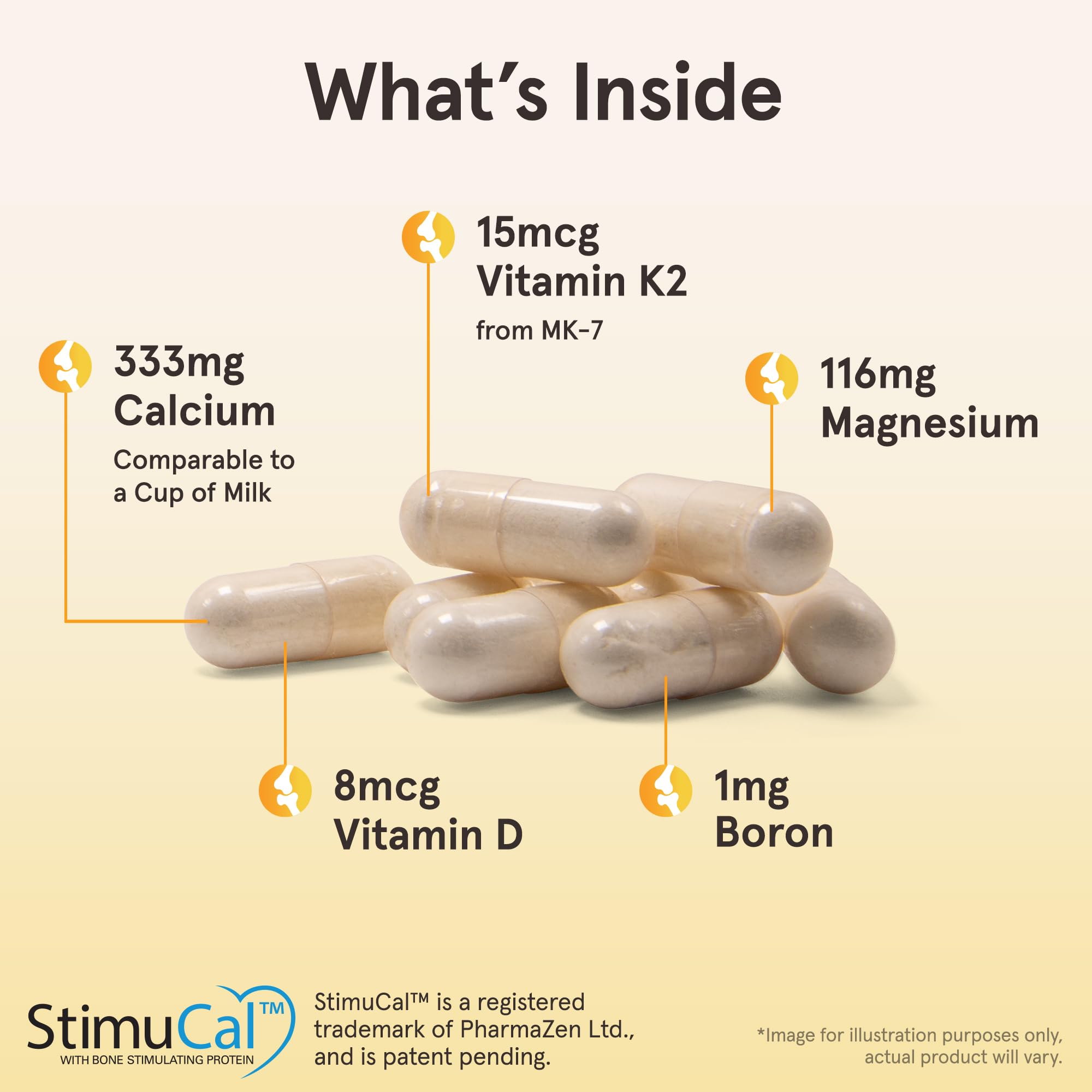 StimuCal MCHA calcium source in BoneUp formula for skeletal nutrition